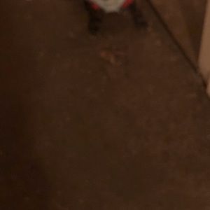 Meet your Posher, Shelby